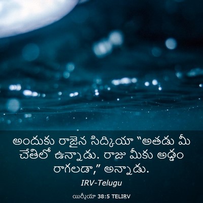 Picture 03 - యిర్మీయా 38:5 TELIRV - అందుకు రాజైన - Bible Verse Picture