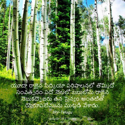 Picture 03 - యిర్మీయా 39:1 TELIRV - యూదా రాజైన - Bible Verse Picture