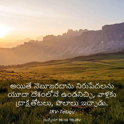 Picture 03 - యిర్మీయా 39:10 TELIRV - అయితే నెబూజరదాను - Bible Verse Picture