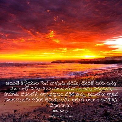 Picture 03 - యిర్మీయా 39:5 TELIRV - అయితే కల్దీయుల - Bible Verse Picture