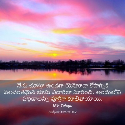 Picture 03 - యిర్మీయా 4:26 TELIRV - నేను చూస్తూ ఉండగా - Bible Verse Picture