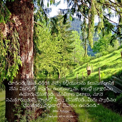 Picture 03 - యిర్మీయా 40:10 TELIRV - చూడండి, మన - Bible Verse Picture