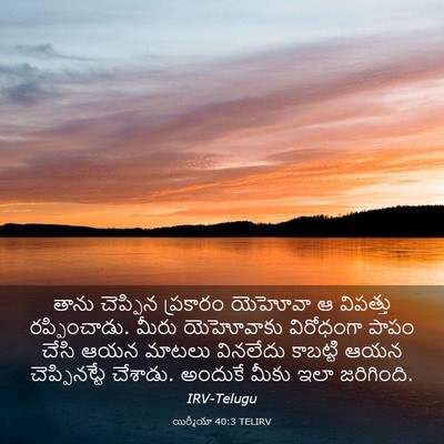Picture 03 - యిర్మీయా 40:3 TELIRV - తాను చెప్పిన - Bible Verse Picture