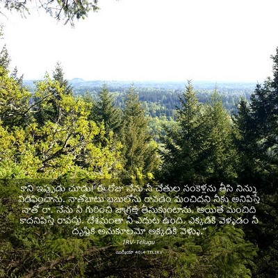 Picture 03 - యిర్మీయా 40:4 TELIRV - కాని ఇప్పుడు చూడు! - Bible Verse Picture