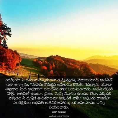 Picture 03 - యిర్మీయా 40:5 TELIRV - యిర్మీయా ఏ జవాబూ - Bible Verse Picture