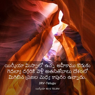 Picture 03 - యిర్మీయా 40:6 TELIRV - యిర్మీయా మిస్పాలో - Bible Verse Picture
