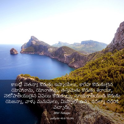 Picture 03 - యిర్మీయా 40:8 TELIRV - కాబట్టి నెతన్యా - Bible Verse Picture