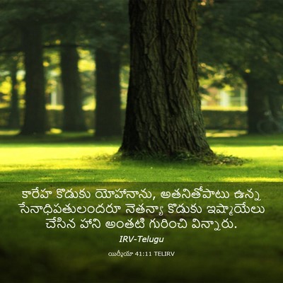 Picture 03 - యిర్మీయా 41:11 TELIRV - కారేహ కొడుకు - Bible Verse Picture