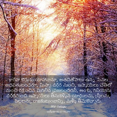 Picture 03 - యిర్మీయా 41:17 TELIRV - కారేహ కొడుకు - Bible Verse Picture