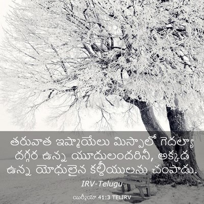 Picture 03 - యిర్మీయా 41:3 TELIRV - తరువాత ఇష్మాయేలు - Bible Verse Picture
