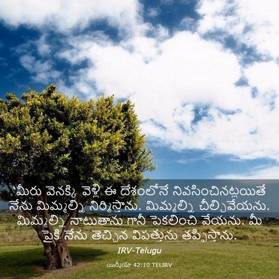 Picture 03 - యిర్మీయా 42:10 TELIRV - ‘మీరు వెనక్కి - Bible Verse Picture