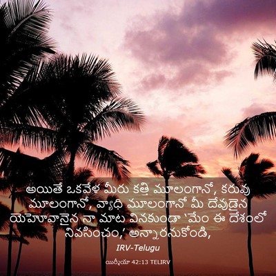 Picture 03 - యిర్మీయా 42:13 TELIRV - అయితే ఒకవేళ మీరు - Bible Verse Picture