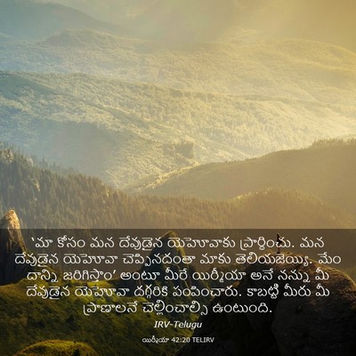 Picture 03 - యిర్మీయా 42:20 TELIRV - ‘మా కోసం మన - Bible Verse Picture