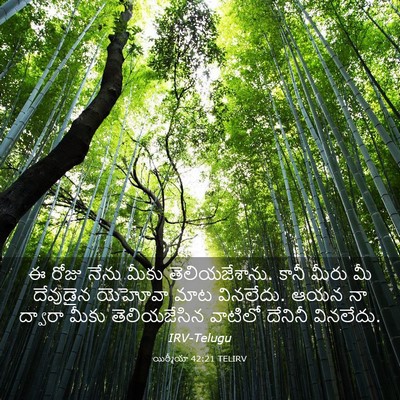 Picture 03 - యిర్మీయా 42:21 TELIRV - ఈ రోజు నేను మీకు - Bible Verse Picture