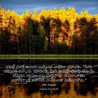 Picture 03 - యిర్మీయా 42:4 TELIRV - కాబట్టి ప్రవక్త - Bible Verse Picture