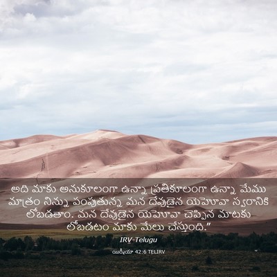 Picture 03 - యిర్మీయా 42:6 TELIRV - అది మాకు - Bible Verse Picture