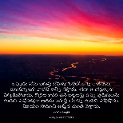 Picture 03 - యిర్మీయా 43:12 TELIRV - అప్పుడు నేను - Bible Verse Picture