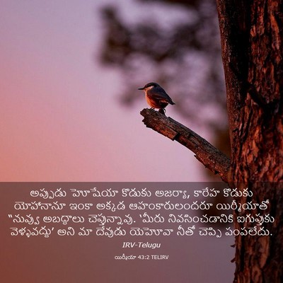 Picture 03 - యిర్మీయా 43:2 TELIRV - అప్పుడు హోషేయా - Bible Verse Picture