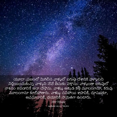 Picture 03 - యిర్మీయా 44:12 TELIRV - యూదా ప్రజలలో - Bible Verse Picture