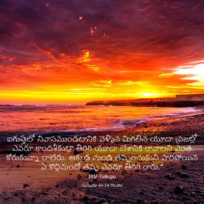 Picture 03 - యిర్మీయా 44:14 TELIRV - ఐగుప్తులో - Bible Verse Picture