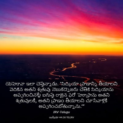 Picture 03 - యిర్మీయా 44:30 TELIRV - యెహోవా ఇలా - Bible Verse Picture