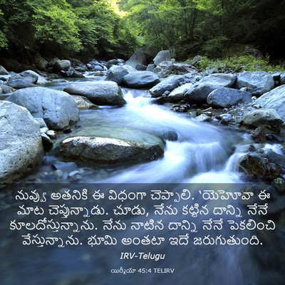 Picture 03 - యిర్మీయా 45:4 TELIRV - నువ్వు అతనికి ఈ - Bible Verse Picture