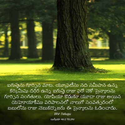 Picture 03 - యిర్మీయా 46:2 TELIRV - ఐగుప్తును గూర్చిన - Bible Verse Picture