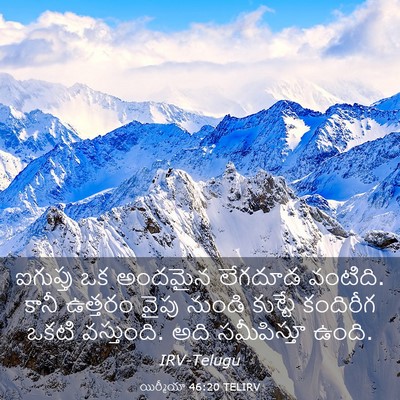Picture 03 - యిర్మీయా 46:20 TELIRV - ఐగుప్తు ఒక అందమైన - Bible Verse Picture