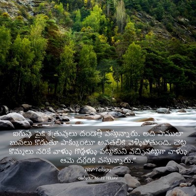 Picture 03 - యిర్మీయా 46:22 TELIRV - ఐగుప్తు పైకి - Bible Verse Picture