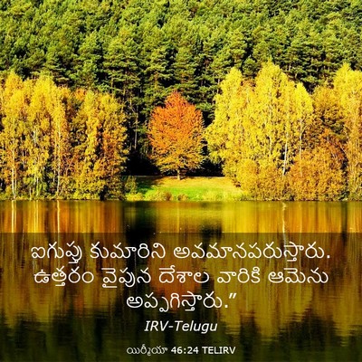 Picture 03 - యిర్మీయా 46:24 TELIRV - ఐగుప్తు కుమారిని - Bible Verse Picture