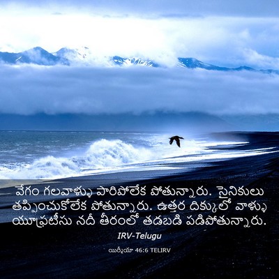 Picture 03 - యిర్మీయా 46:6 TELIRV - వేగం గలవాళ్ళు - Bible Verse Picture