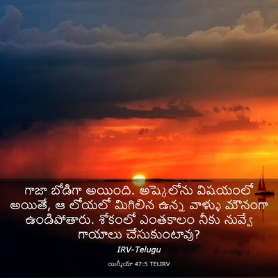 Picture 03 - యిర్మీయా 47:5 TELIRV - గాజా బోడిగా - Bible Verse Picture