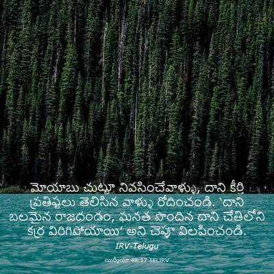 Picture 03 - యిర్మీయా 48:17 TELIRV - మోయాబు చుట్టూ - Bible Verse Picture