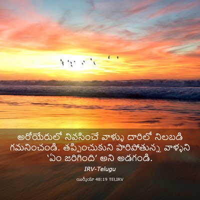Picture 03 - యిర్మీయా 48:19 TELIRV - అరోయేరులో - Bible Verse Picture
