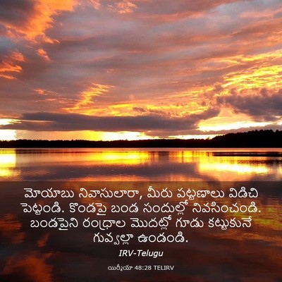 Picture 03 - యిర్మీయా 48:28 TELIRV - మోయాబు - Bible Verse Picture