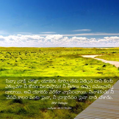 Picture 03 - యిర్మీయా 48:32 TELIRV - సిబ్మా ద్రాక్ష - Bible Verse Picture