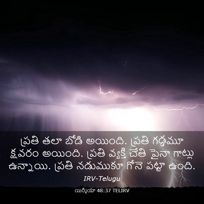 Picture 03 - యిర్మీయా 48:37 TELIRV - ప్రతి తలా బోడి - Bible Verse Picture