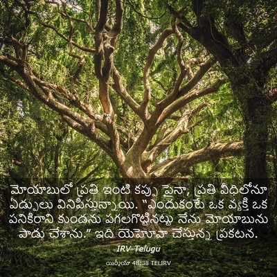 Picture 03 - యిర్మీయా 48:38 TELIRV - మోయాబులో ప్రతి - Bible Verse Picture