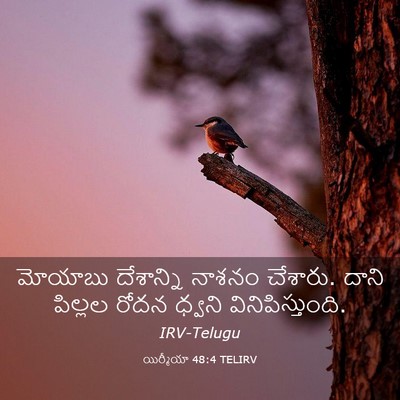 Picture 03 - యిర్మీయా 48:4 TELIRV - మోయాబు దేశాన్ని - Bible Verse Picture