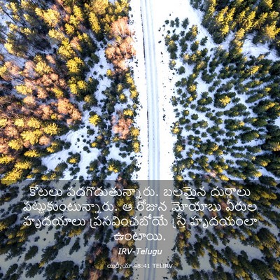 Picture 03 - యిర్మీయా 48:41 TELIRV - కోటలు - Bible Verse Picture