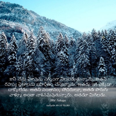 Picture 03 - యిర్మీయా 49:10 TELIRV - కానీ నేను ఏశావును - Bible Verse Picture