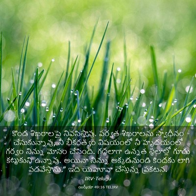 Picture 03 - యిర్మీయా 49:16 TELIRV - కొండ శిఖరాలపై - Bible Verse Picture