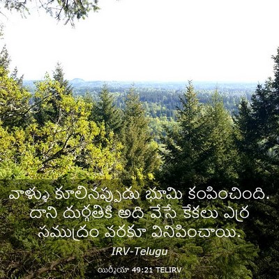 Picture 03 - యిర్మీయా 49:21 TELIRV - వాళ్ళు - Bible Verse Picture