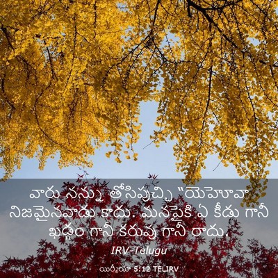 Picture 03 - యిర్మీయా 5:12 TELIRV - వారు నన్ను - Bible Verse Picture