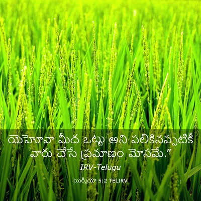 Picture 03 - యిర్మీయా 5:2 TELIRV - యెహోవా మీద ఒట్టు - Bible Verse Picture