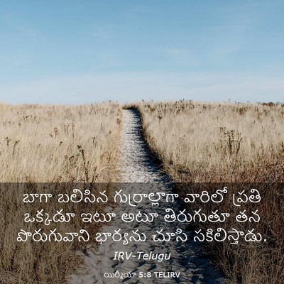 Picture 03 - యిర్మీయా 5:8 TELIRV - బాగా బలిసిన - Bible Verse Picture