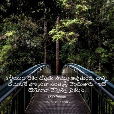 Picture 03 - యిర్మీయా 50:10 TELIRV - కల్దీయుల దేశం - Bible Verse Picture
