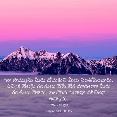Picture 03 - యిర్మీయా 50:11 TELIRV - “నా సొమ్మును మీరు - Bible Verse Picture
