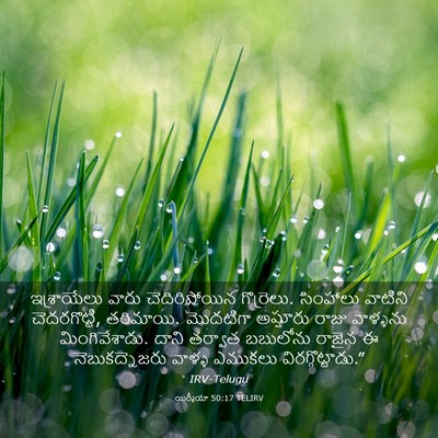 Picture 03 - యిర్మీయా 50:17 TELIRV - ఇశ్రాయేలు వారు - Bible Verse Picture