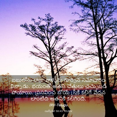 Picture 03 - యిర్మీయా 50:43 TELIRV - బబులోను రాజు - Bible Verse Picture